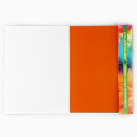 Cardboard color two -way A4 coated in the folder 10 sheets 20 colors 230g "September 1: Bukibyaki"-1
