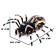 Radio -controlled “Tarantula” spider, smoke effect, light effects, works from the battery