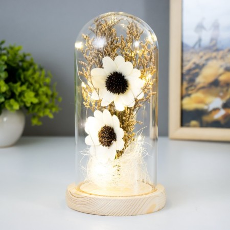 Nightlight "Flowers" LED from batteries 3HAAA 11x11x20 cm Risalux-1