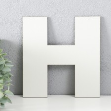Panel letter 