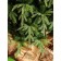 Artificial spruce Green Trees "Forest", premium, 240 cm