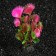 Set of plants of artificial aquarium on a stand under stone (size 1 pc 10x2.5x1.5 cm)