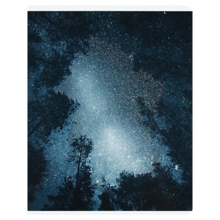 Notebook of 48 sheets in a cage on a clip "Shine", cover coated cardboard, VD-smell, sparkles, mix-4