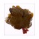 Decor "Autumn sheet" set of 15 pcs., Size 1 pc. - 9 × 11 × 0.2 cm, brown color