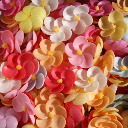 Wafer phlox, mix, 250 pcs.-1