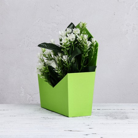 Trapection envelope is monophonic, light green19.5 x 23 x 8 cm-1