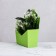 Trapection envelope is monophonic, light green19.5 x 23 x 8 cm