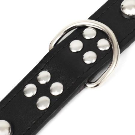 Collar "Sirius", leatherette with rivets, 56 x 3 cm, Osh 42-52, black-6