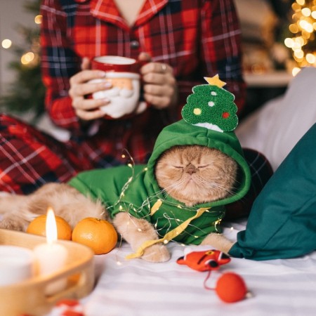 Animal costume "Christmas tree", size XS, green-14
