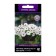 Flowers of Petunia Ampel F1 Iza Vave Silver, 5pcs