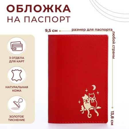 Cover for passport, red color