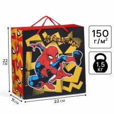 Package gift craft 22x22x11 cm, Spider-Man