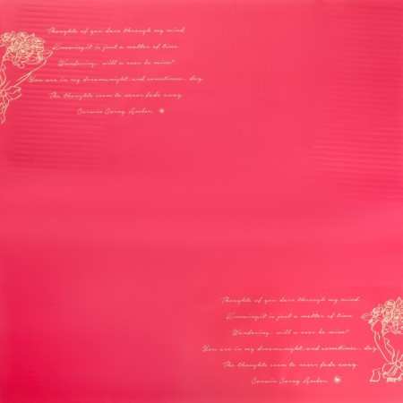 Film in sheets, 58 x 58 cm, “Thoughts about you...”, wine, 65 μm-2