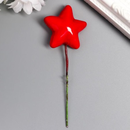 Decor for the creativity of "Star" set of 10 pcs 3.8x3.8 cm