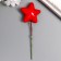 Decor for the creativity of "Star" set of 10 pcs 3.8x3.8 cm