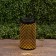 Lamp Garden Era on the Solar Battery "Ornament" LED, IP54, black