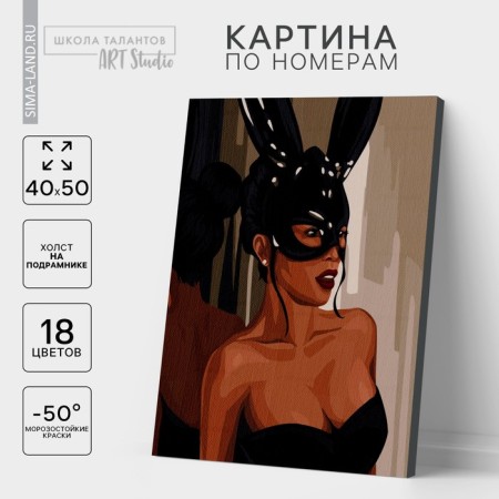 Picture on numbers on a canvas with a subframe "Daring Girl", 40 x 50 cm