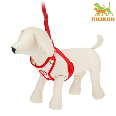 The train is adjustable breathing, reflective, size L (Osh+OG 92-125 cm), red