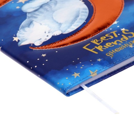 Universal diary for grade 1-11 Best Friends, hard cover, artificial leather, foam rubber, lies, 80 g/m2-2