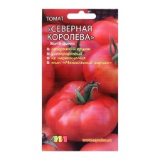 Seed Tomat 