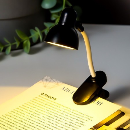 Reading LED LED 2W from AG3 batteries MIX 2.2x3x15 cm Risalux-3