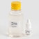 Mucus lab, yellow color
