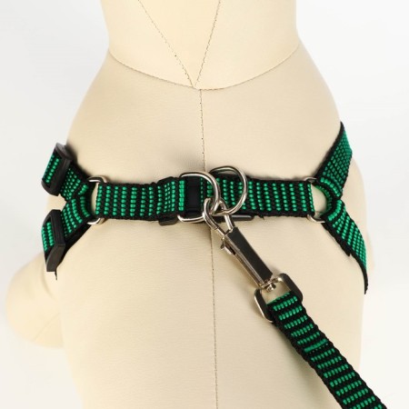 Acunition set is embossed, leash 120 x 1.5 cm, OG 36-49 cm, green-black-3