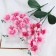 Artificial flowers "Multiflore Falenopsis" 6x37 cm, pink mix