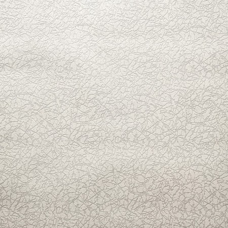Vinyl wallpapers on non -woven basis for painting "Gomel mobility" of graphics, 1.06x25m-2