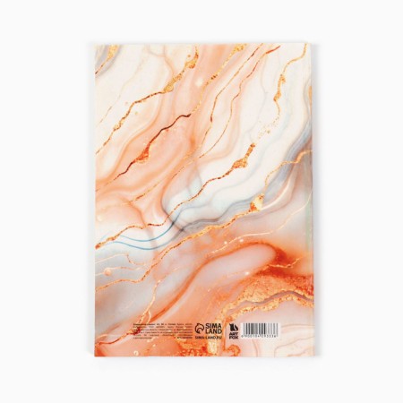 Drawn Planning Dream "Dream in the New Year", A5, 80 liters.-2