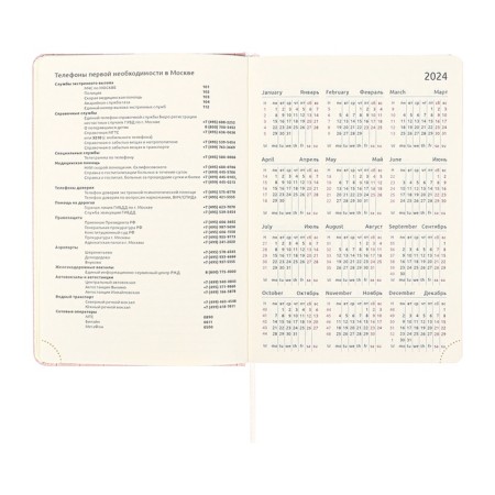Dated diary 2025 A5 168 sheets, Devente.Barbara, a solid cover to leatherette with foam, praise, perforation, lies, block 70, pink-9