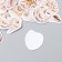 Stickers for creativity "sea shells" set of 46 pcs 4.4x4.4x1.1 cm