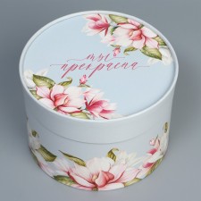 Gift box, packaging, “you are beautiful”, 16 x 10 cm