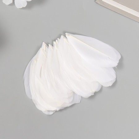 Decorative goose “white” in the shape of a sheet set 40 pcs h = 5-7 cm