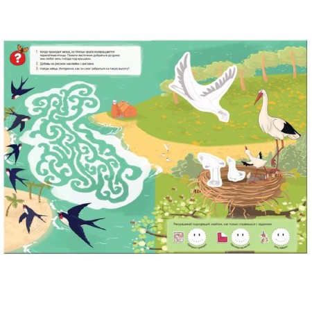 Forest animals. Spring-2