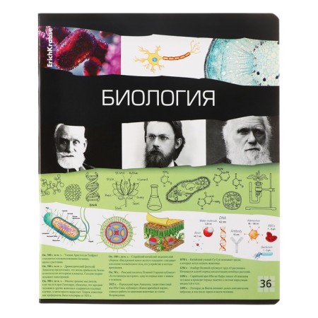 A set of subject notebooks 36 sheets, 12 pieces, Erichkrause "Timeline", coated cardboard, Blok OFSET 100%, information block-4