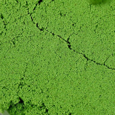 Touching sand Lep, Green, 300 grams-1