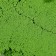 Touching sand Lep, Green, 300 grams