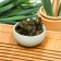 Chinese green tea "Flower", 50 g