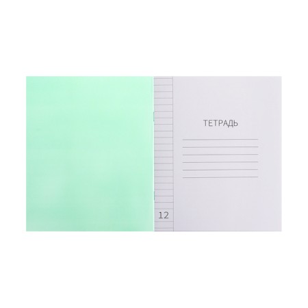 Notebook 12 sheets in the Calligrata "Green" line, plastic cover, with alphabet, offset block-2