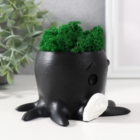 Concrete Kashpo "Osminog" height 7 cm, d-6.5 cm black with a white paw with moss (moss green, stub)-1