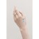 Stickers COLIBRI, 14 × 21 cm
