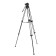 Greenbean Videomaster 309MS DISPECTION