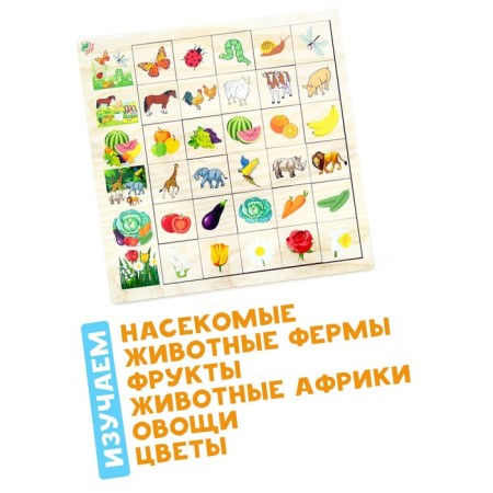 Developing game "Association Nature" from wood-2