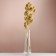 Set of dried flowers "licorice", ban 3 pcs, length 60 (+/- 6 cm), yellow