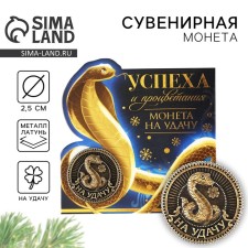Coin New Year's amulet 
