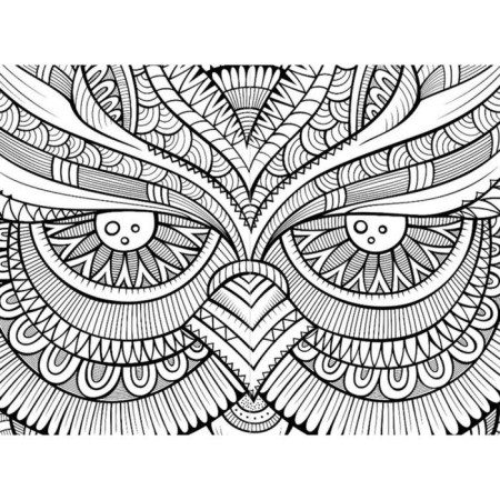 Foxes and owls-3