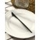 Stainless steel knife Magistro "folk", length 22 cm, black color