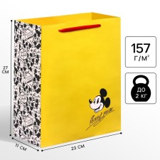Пакет подарочный, 23х27х11 см, упаковка, Микки Маус
