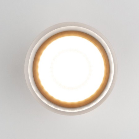 Ceiling lamp (SPOT) Elektrostandard, Light LED 15 W, 108x108x148 mm, IP54, Gray color-2
